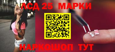 шишки Ставрополь