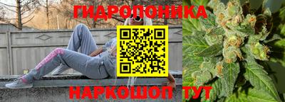 шишки Ставрополь