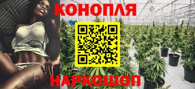 шишки Ставрополь