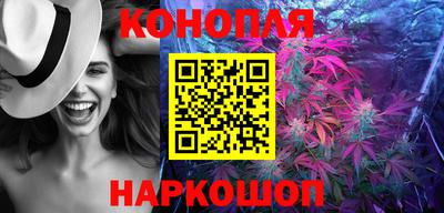 шишки Ставрополь