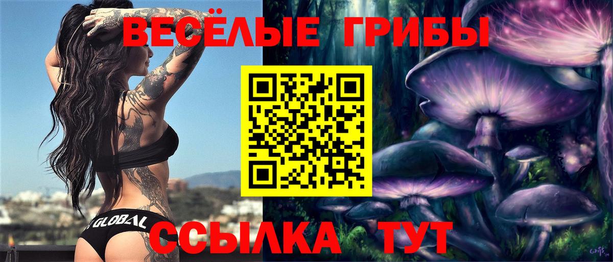 Псилоцибиновые грибы Cubensis Нефтекамск